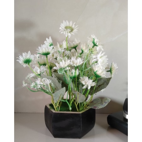 Daisy Flower Arrangement With Pot