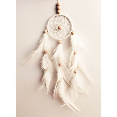 Dreamcatcher For Positivity Hanging Wall