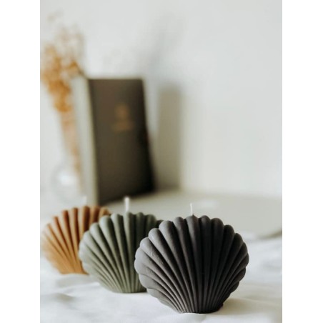 Sea Shell Candle