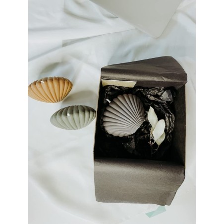 Sea Shell Candle